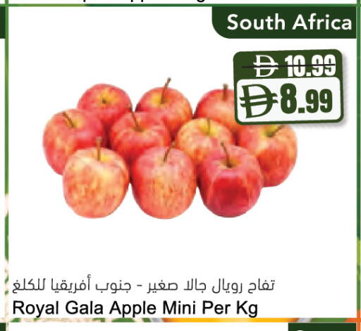 Apple from South Africa available at المايا سوبرماركت in الإمارات العربية المتحدة , الامارات - دبي