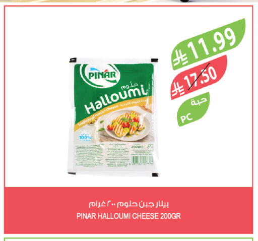 available at المزرعة in مملكة العربية السعودية, السعودية, سعودية - تبوك