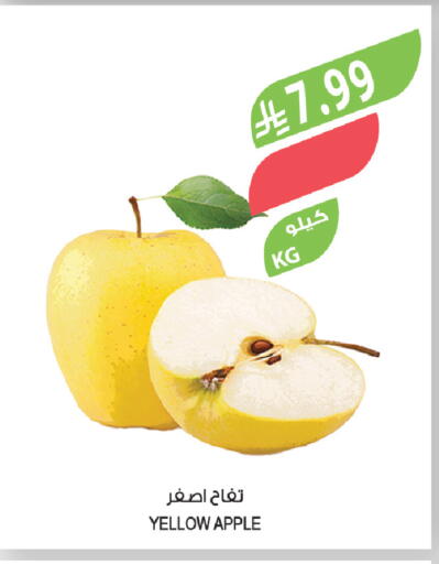 Apple available at المزرعة in مملكة العربية السعودية, السعودية, سعودية - الخرج