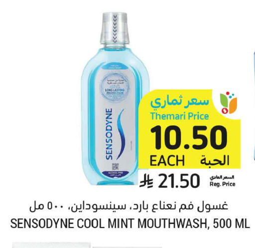 Mint available at أسواق التميمي in مملكة العربية السعودية, السعودية, سعودية - الخبر‎