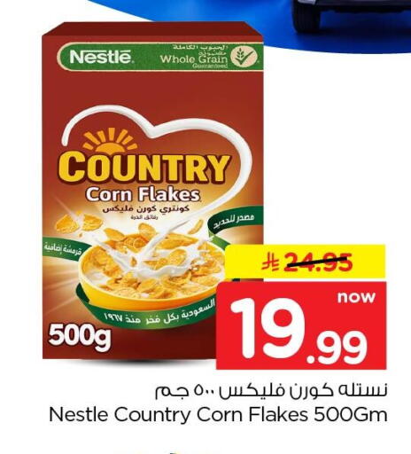 available at نستو in مملكة العربية السعودية, السعودية, سعودية - الخبر‎