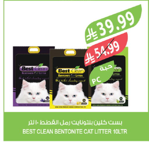 available at Farm  in KSA, Saudi Arabia, Saudi - Al-Kharj