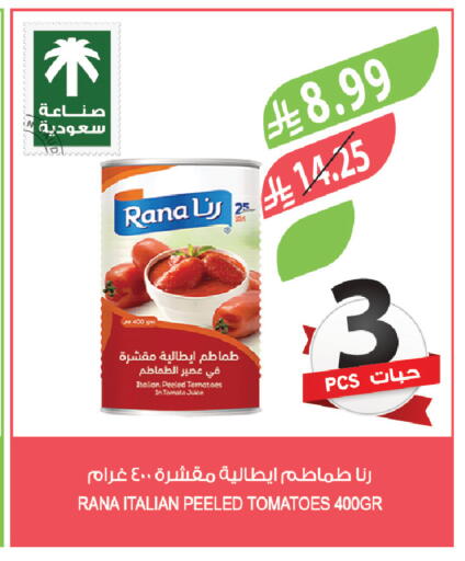 Tomato available at Farm  in KSA, Saudi Arabia, Saudi - Al-Kharj