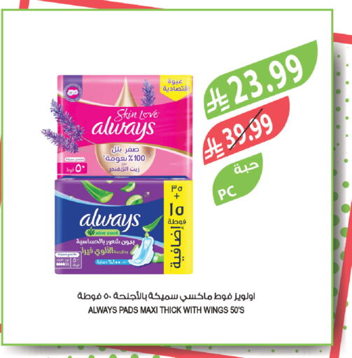 available at Farm  in KSA, Saudi Arabia, Saudi - Tabuk
