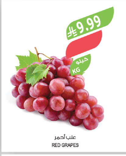 Grapes available at Farm  in KSA, Saudi Arabia, Saudi - Al-Kharj