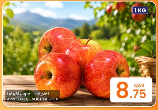 Apple from South Africa available at البلدي اليوم in قطر - الريان
