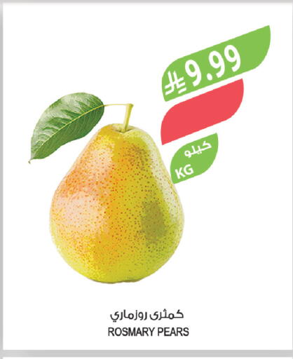 available at المزرعة in مملكة العربية السعودية, السعودية, سعودية - تبوك