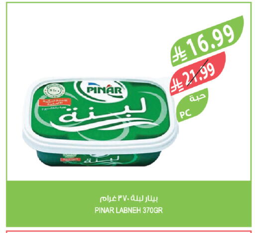available at Farm  in KSA, Saudi Arabia, Saudi - Al Khobar