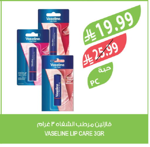 available at المزرعة in مملكة العربية السعودية, السعودية, سعودية - تبوك