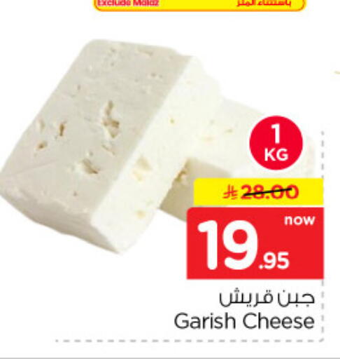 available at نستو in مملكة العربية السعودية, السعودية, سعودية - الخرج