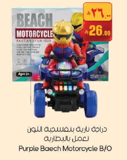 available at City Flower in KSA, Saudi Arabia, Saudi - Hail