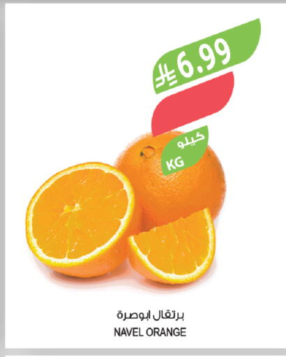 Orange available at المزرعة in مملكة العربية السعودية, السعودية, سعودية - الخرج