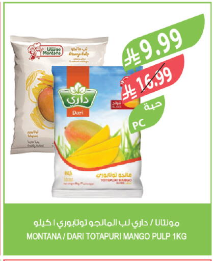 Mango available at Farm  in KSA, Saudi Arabia, Saudi - Tabuk