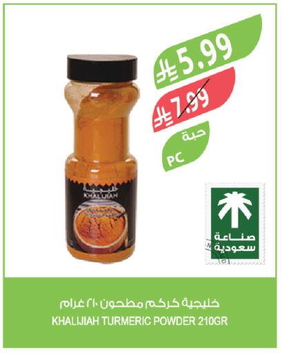 Turmeric available at Farm  in KSA, Saudi Arabia, Saudi - Tabuk