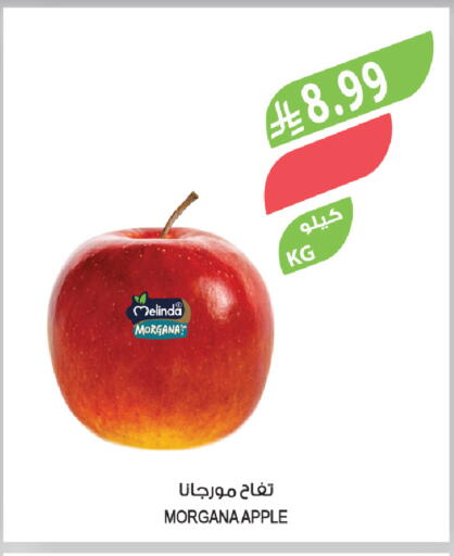 Apple available at المزرعة in مملكة العربية السعودية, السعودية, سعودية - الخرج