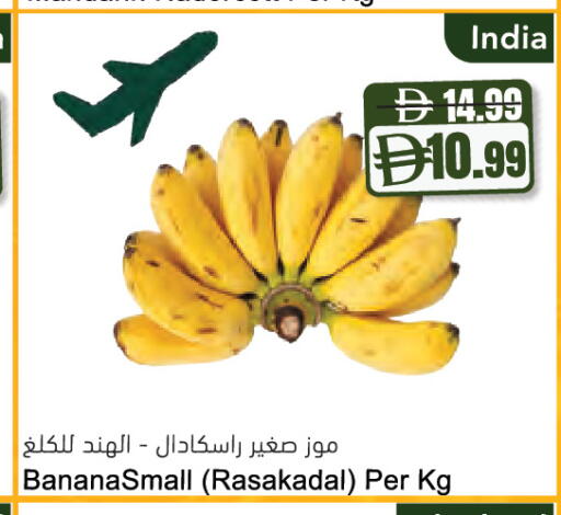 from India available at المايا سوبرماركت in الإمارات العربية المتحدة , الامارات - دبي