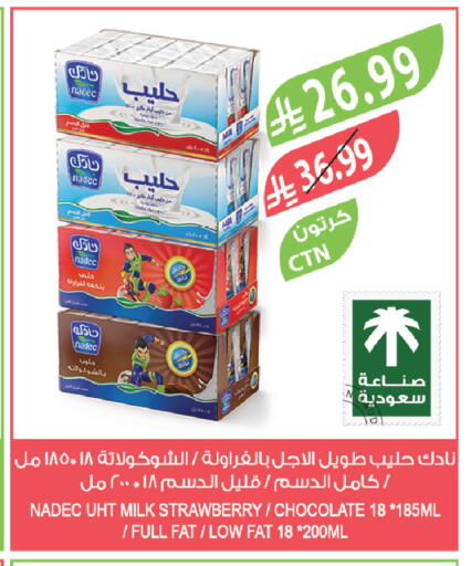 Strawberry available at Farm  in KSA, Saudi Arabia, Saudi - Riyadh