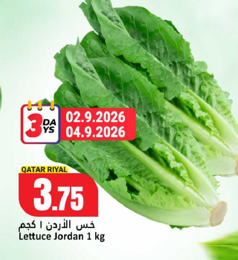 Lettuce from Qatar Jordan available at دانة هايبرماركت in قطر - الشحانية