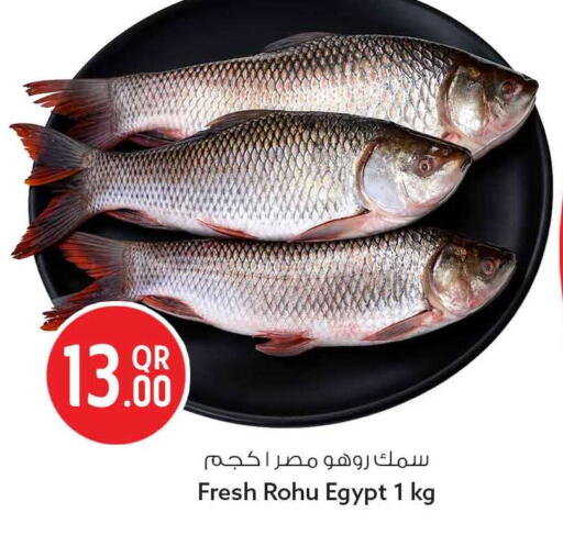 available at سفاري هايبر ماركت in قطر - الريان