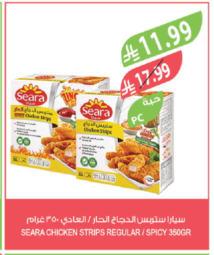 available at المزرعة in مملكة العربية السعودية, السعودية, سعودية - تبوك
