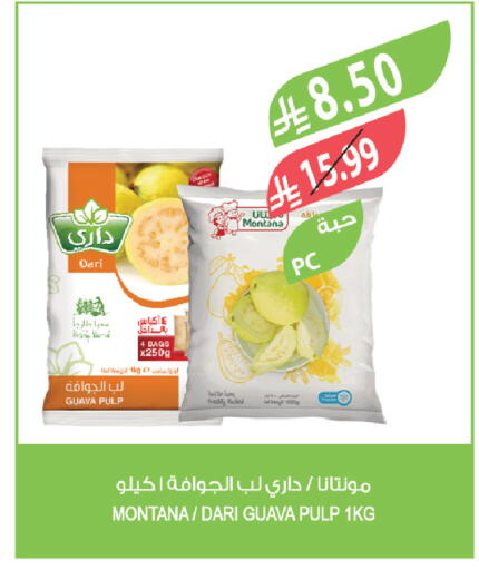 Guava available at Farm  in KSA, Saudi Arabia, Saudi - Tabuk