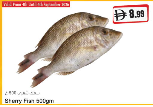 available at المايا سوبرماركت in الإمارات العربية المتحدة , الامارات - دبي