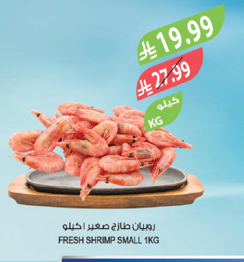 available at المزرعة in مملكة العربية السعودية, السعودية, سعودية - تبوك