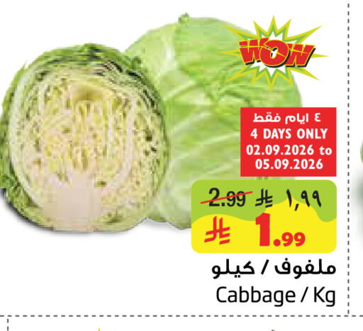Cabbage available at ليان هايبر in مملكة العربية السعودية, السعودية, سعودية - الخبر‎