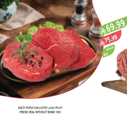 available at المزرعة in مملكة العربية السعودية, السعودية, سعودية - تبوك