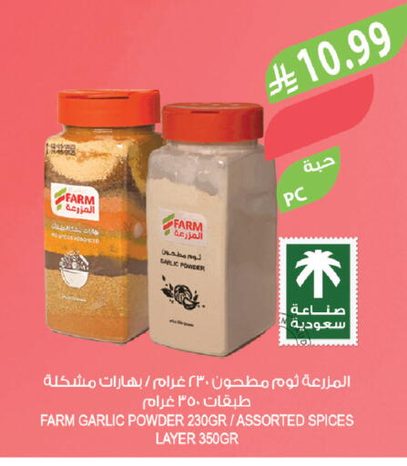 Garlic available at Farm  in KSA, Saudi Arabia, Saudi - Tabuk