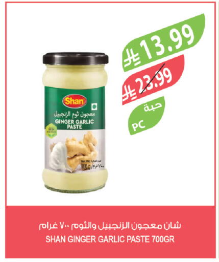 Ginger Garlic available at Farm  in KSA, Saudi Arabia, Saudi - Tabuk