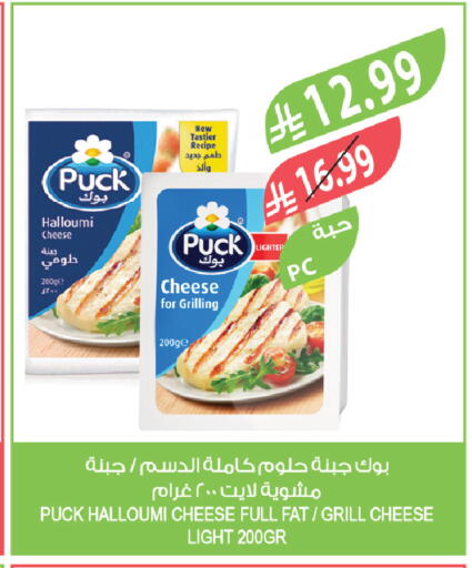 available at المزرعة in مملكة العربية السعودية, السعودية, سعودية - تبوك