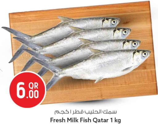 available at Safari Hypermarket in Qatar - Al Rayyan
