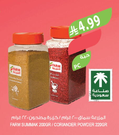 Coriander available at Farm  in KSA, Saudi Arabia, Saudi - Tabuk