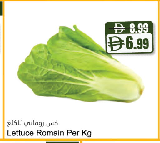 Lettuce available at المايا سوبرماركت in الإمارات العربية المتحدة , الامارات - دبي