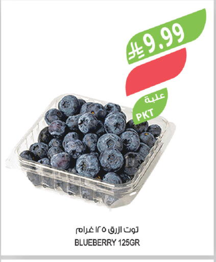 Blueberry BlueBerry available at Farm  in KSA, Saudi Arabia, Saudi - Al-Kharj