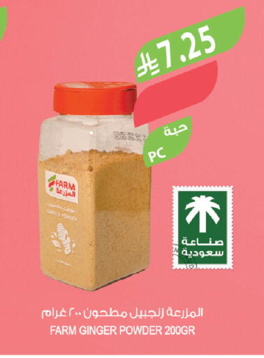 Ginger available at Farm  in KSA, Saudi Arabia, Saudi - Tabuk