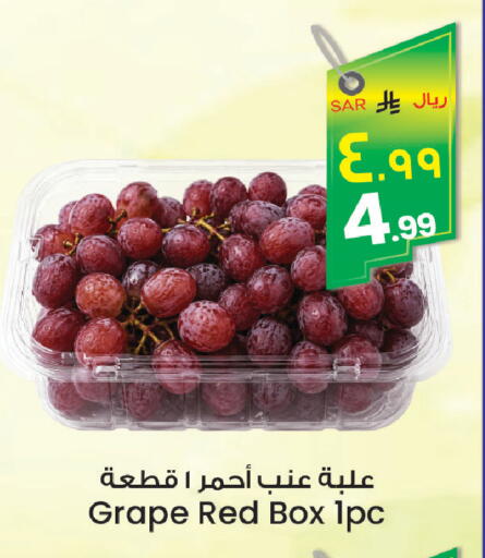 available at City Flower in KSA, Saudi Arabia, Saudi - Sakaka
