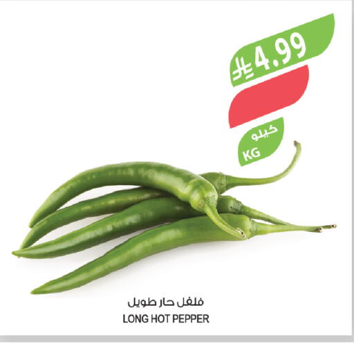 Pepper available at المزرعة in مملكة العربية السعودية, السعودية, سعودية - تبوك
