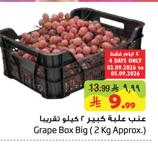 available at ليان هايبر in مملكة العربية السعودية, السعودية, سعودية - الخبر‎