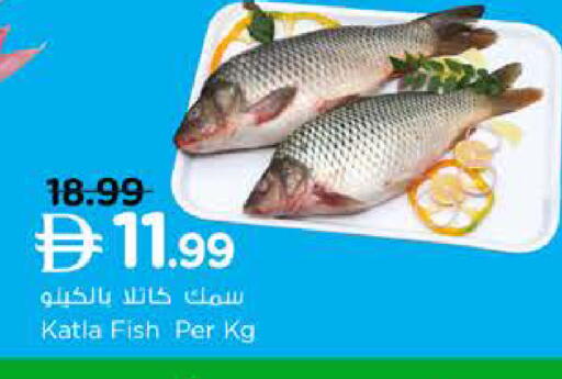 available at نستو هايبرماركت in الإمارات العربية المتحدة , الامارات - الشارقة / عجمان