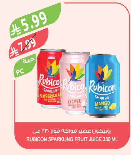 Lychee Mango available at Farm  in KSA, Saudi Arabia, Saudi - Tabuk