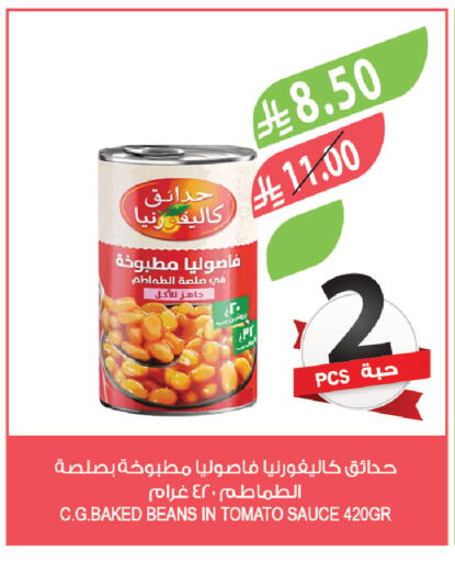 Tomato available at Farm  in KSA, Saudi Arabia, Saudi - Riyadh
