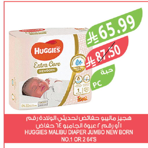 available at Farm  in KSA, Saudi Arabia, Saudi - Al-Kharj