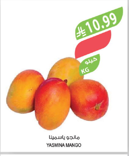 Mango available at Farm  in KSA, Saudi Arabia, Saudi - Al-Kharj