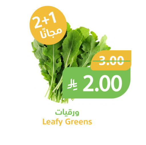 available at Qateba Markets in KSA, Saudi Arabia, Saudi - Buraidah
