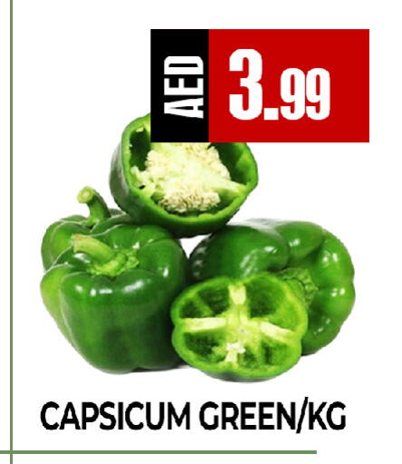 Capsicum available at  RIVIERA SUPERMARKET L.L.C in UAE - Abu Dhabi