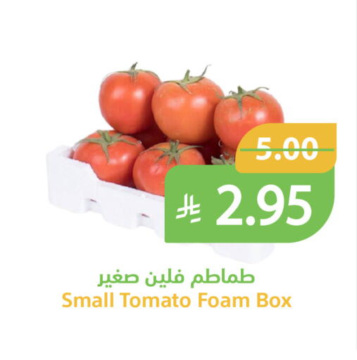 Tomato available at Qateba Markets in KSA, Saudi Arabia, Saudi - Buraidah