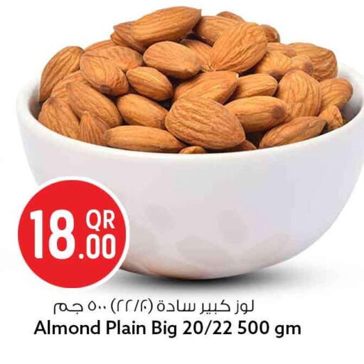 available at سفاري هايبر ماركت in قطر - الشمال