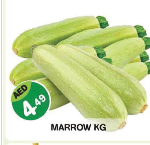Marrow available at سنابل بني ياس in الإمارات العربية المتحدة , الامارات - أبو ظبي